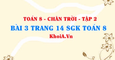 Bài 3 trang 14 Toán 8 Chân trời sáng tạo Tập 2